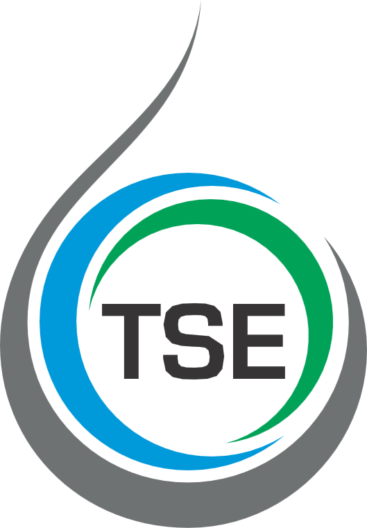 Logo TSE